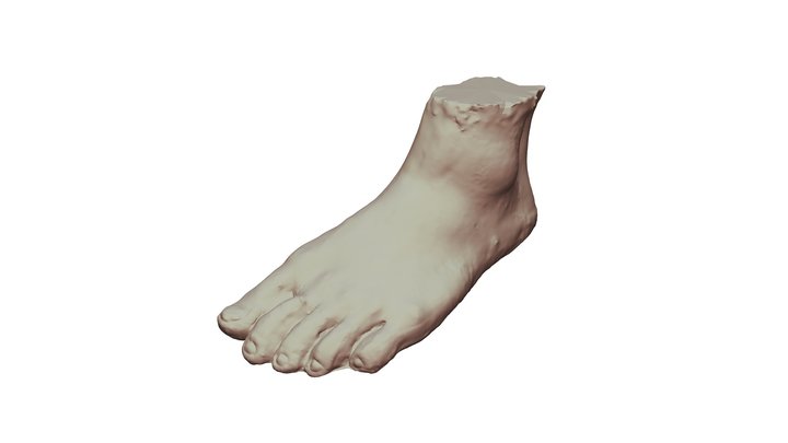 Guy 02 3D Model