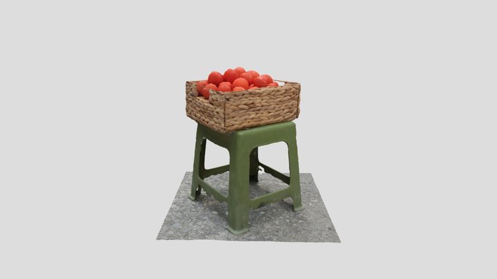 Giocachua 3D Model