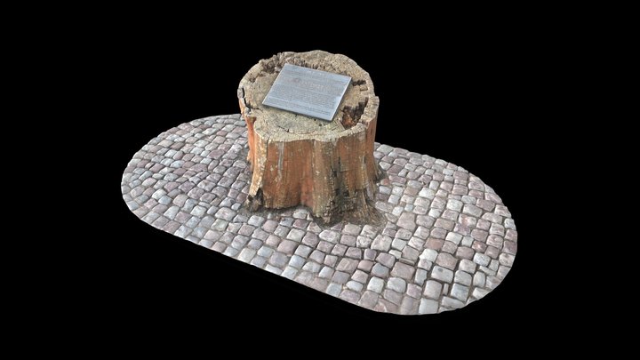 Pe-et Elm 3D Model
