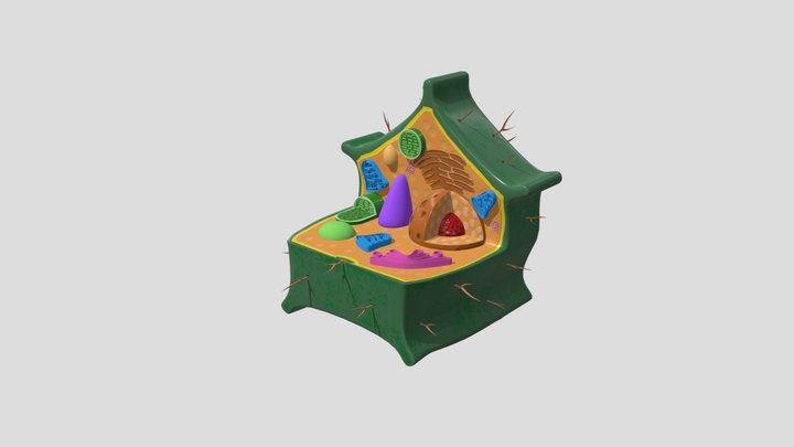 Plant Cell 3D Model