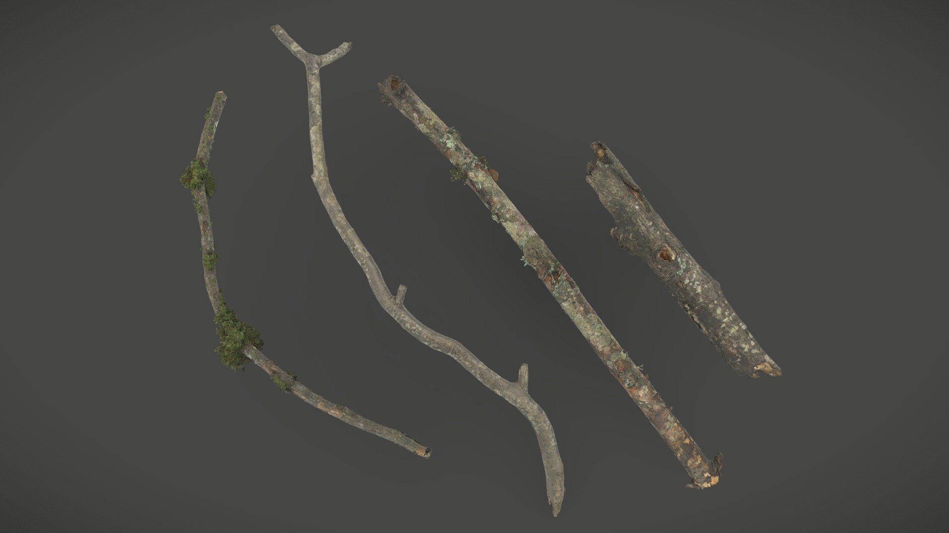 Collection of Forest Branches