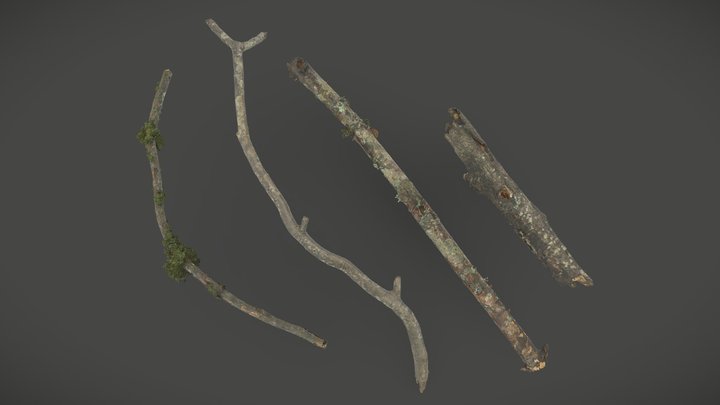 Collection of Forest Branches 3D Model