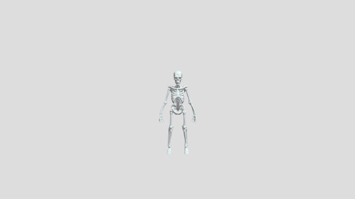 Скелет человека - конструктор для печати 3D Model