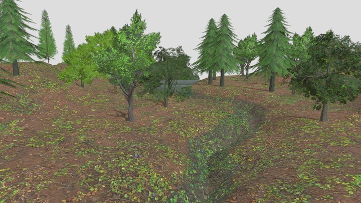 Wild Forest Terrain with River 3D Model