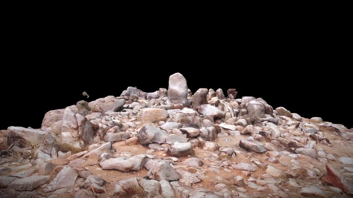 Posible Saywa -Cerro Los Puntiudos. 3D Model