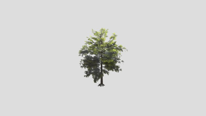 Tree_ Normal 3D Model