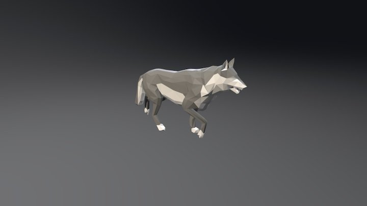 Wolf Walking Animation 3D Model