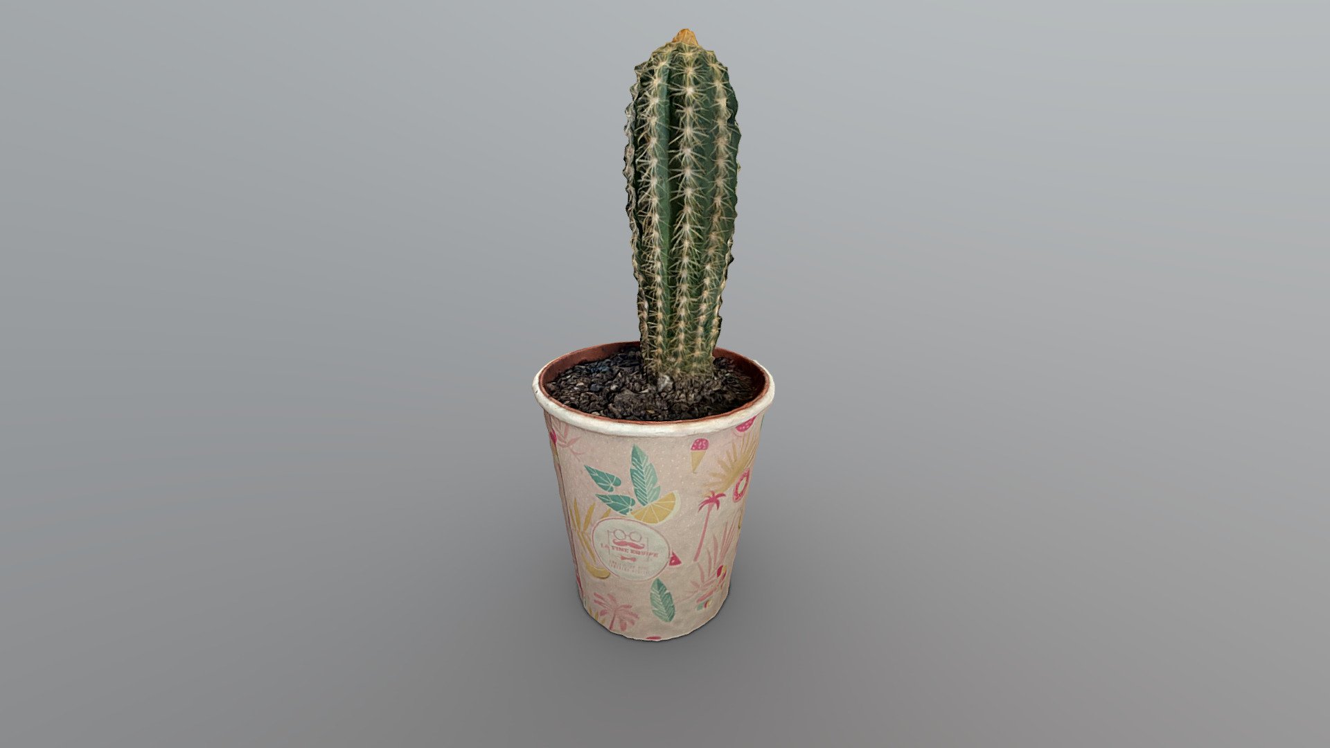 Small Cactus - photogrammetry