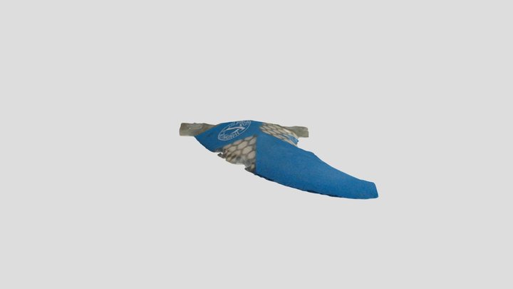 Future fin 3D Model