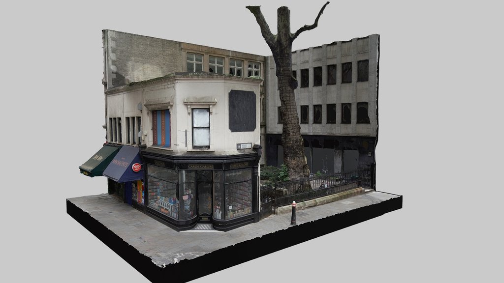 Oldest Tree In City Of London