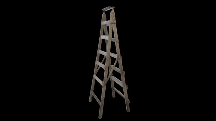 Weathered Step Ladder