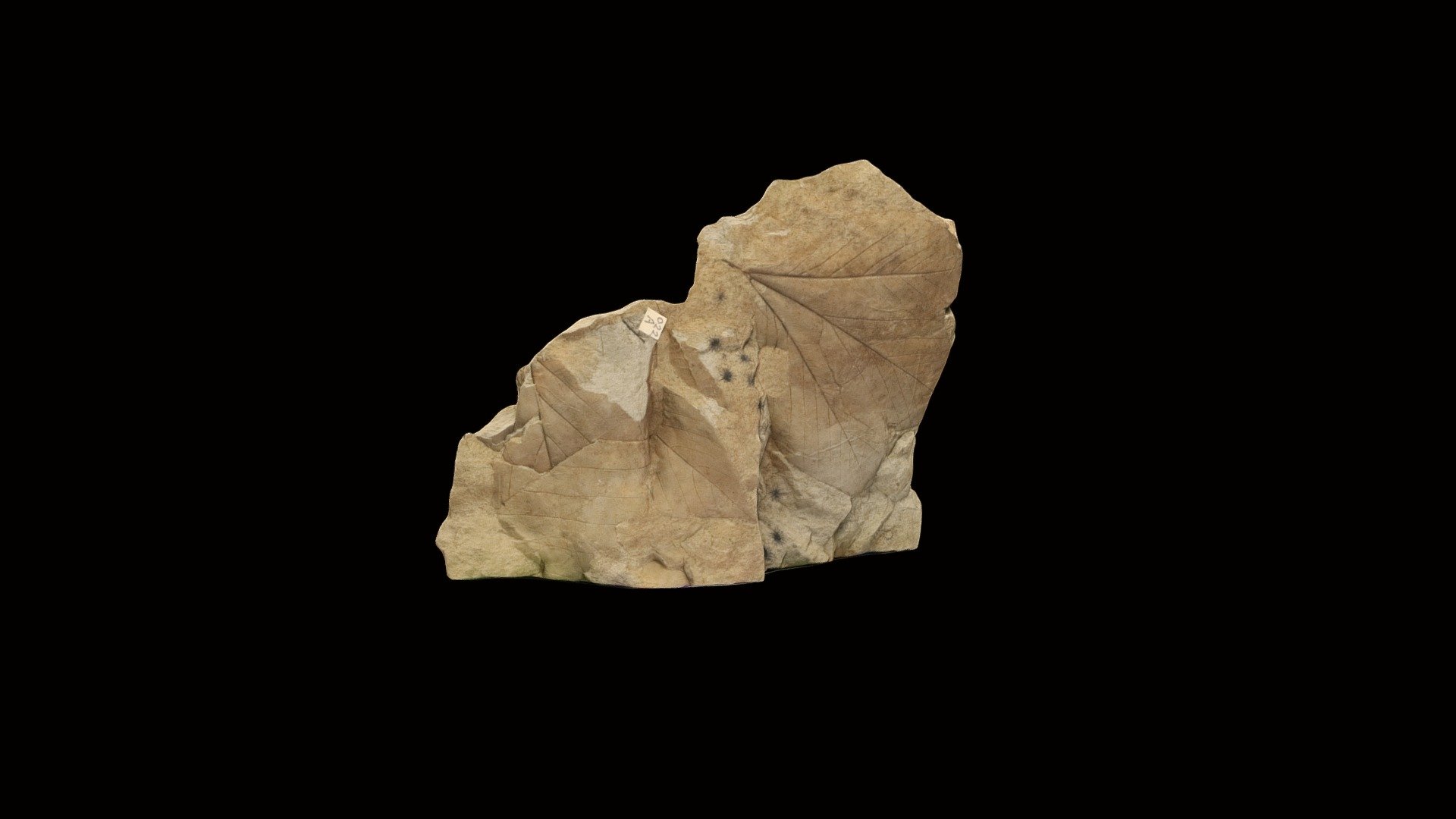 Geol212_022A
