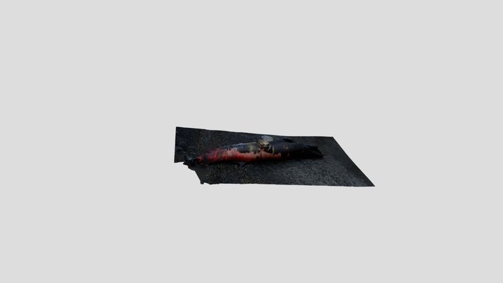 1 3D Model