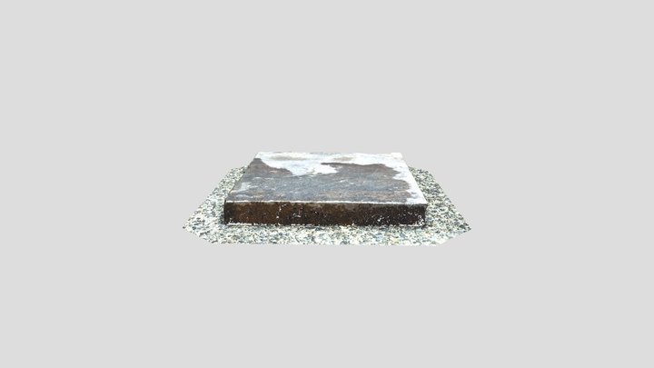 Paver 3D Model