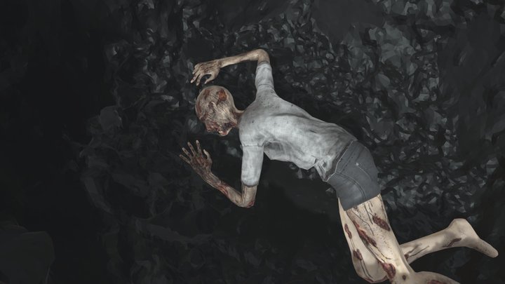 Decomposição Humana 3D Model
