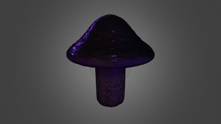 Hongo Dense Mesh 3D Model