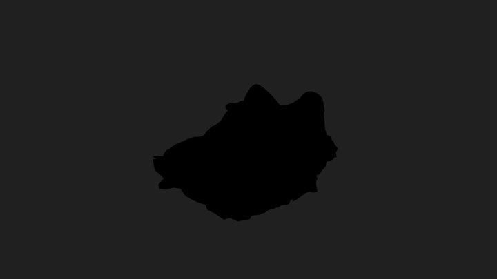 Vans Shoe Raw Photogrammetry Scan Data Test 3D Model