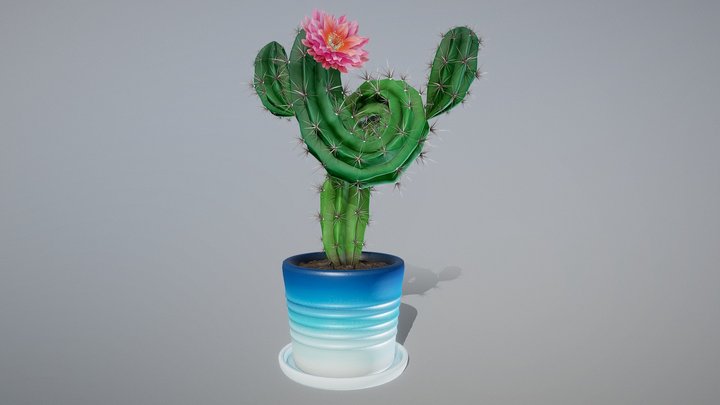 Twisty Cactus 3D Model