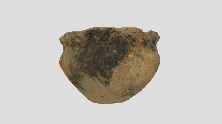 P122 SF3194 Must Farm Fineware Cup