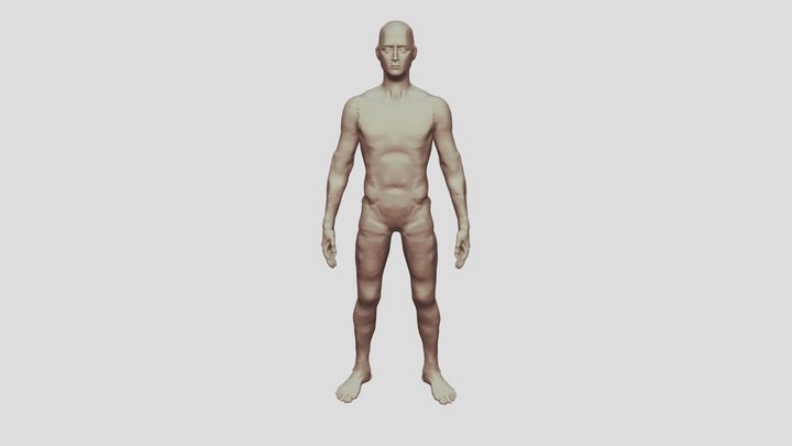 Body study(Not finished) 3D Model