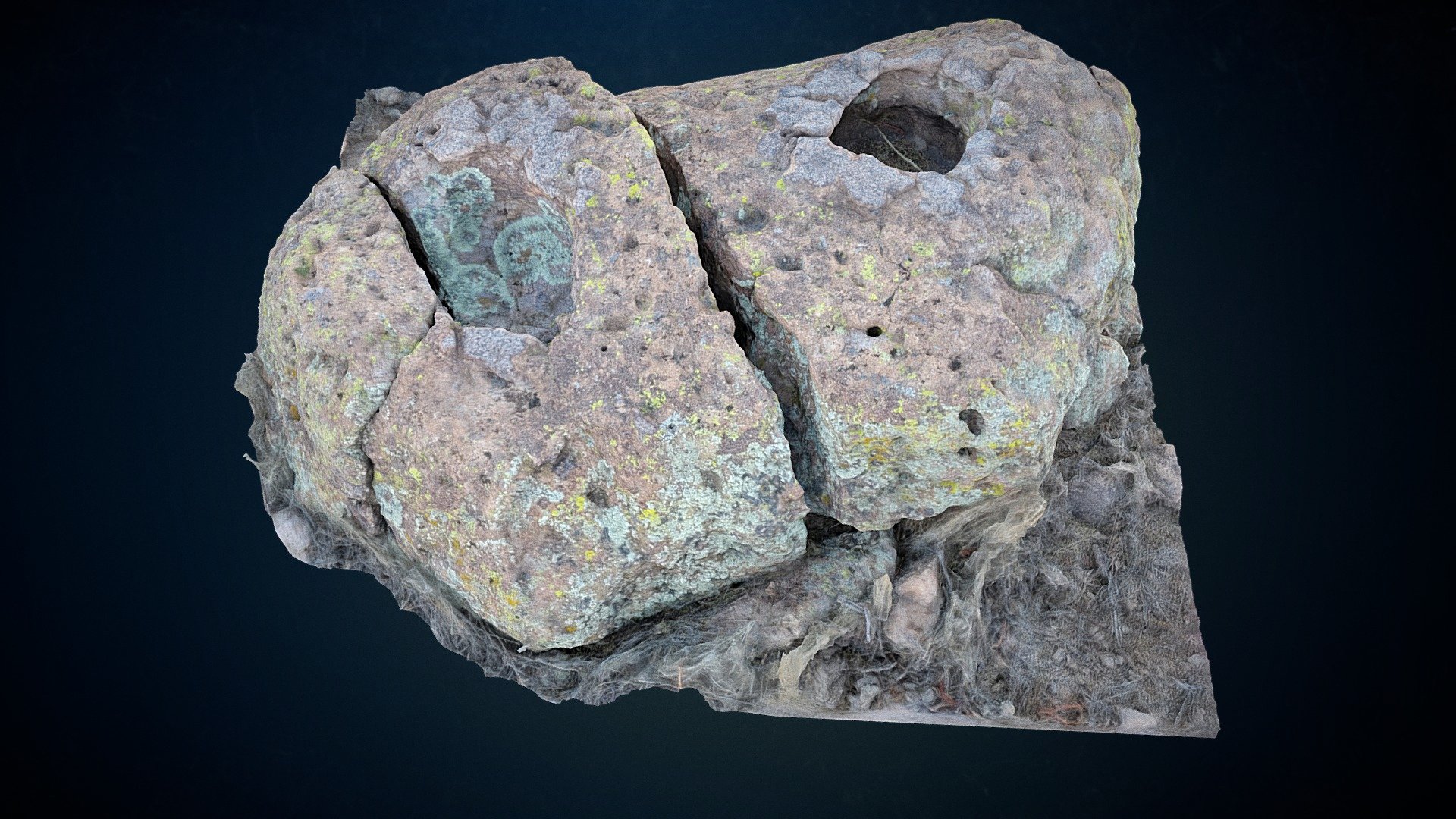 Interesting Rock with Holes in the center