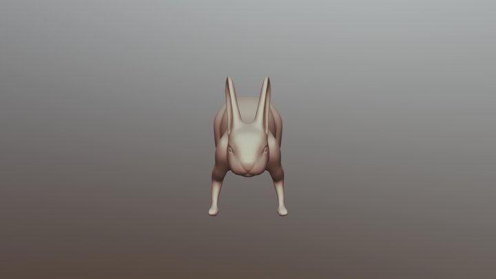 Rabbit 3D Model