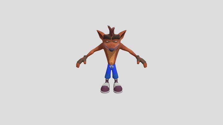 Crash Bandicoot 3D Model
