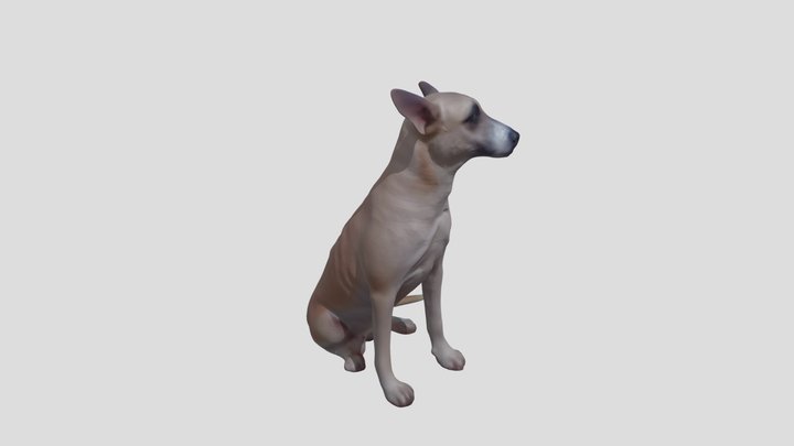 Minha Foto de Prefil no Sketchfab