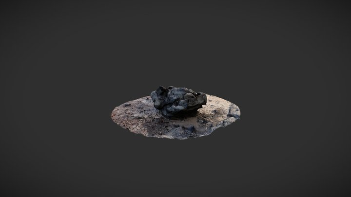 Volcanic Rock 3D Model