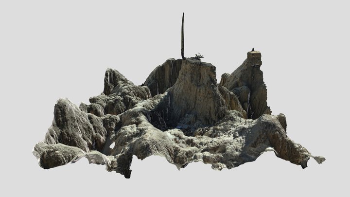 Cárcava de erosión 3D Model
