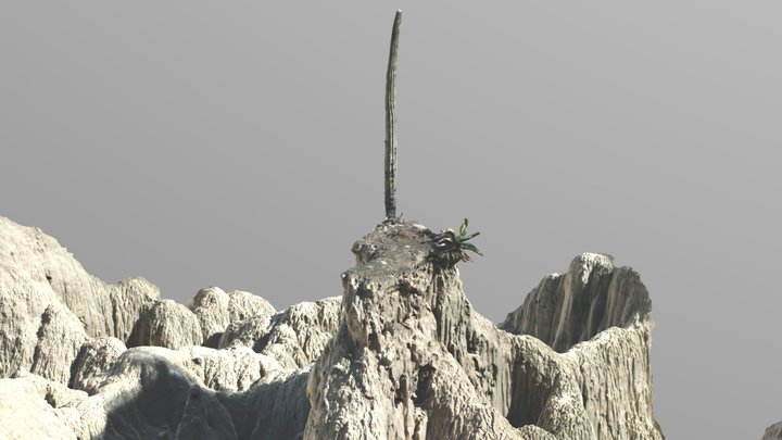 Cárcava de erosión 3D Model