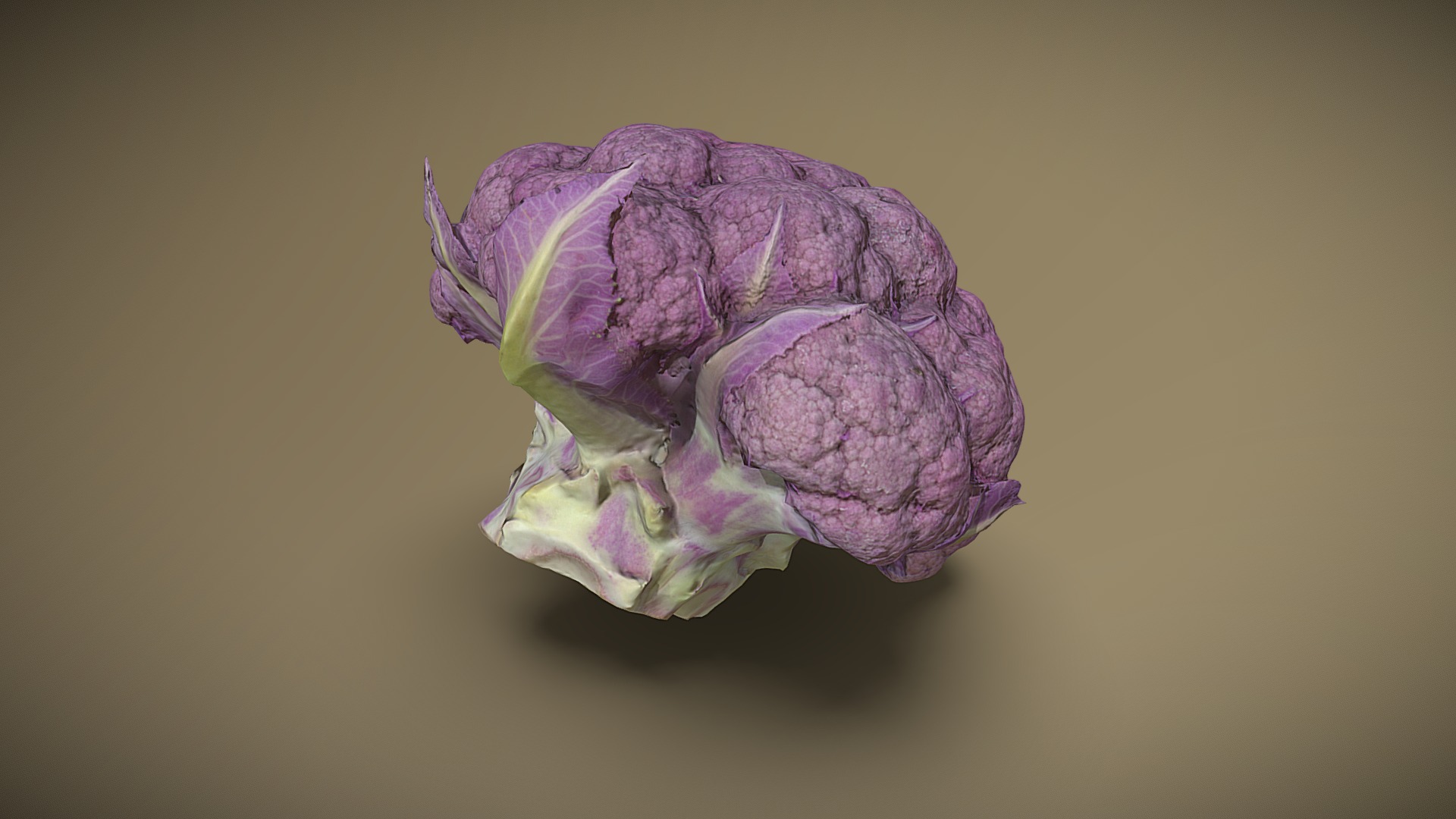 3D model Purple cauliflower - This is a 3D model of the Purple cauliflower. The 3D model is about a purple flower with a yellow center.