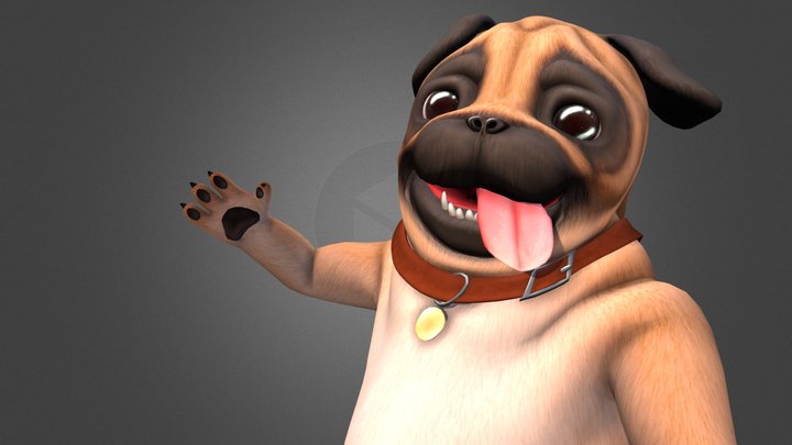 Wrinkly Pug 3D Model