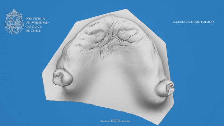 A11-S 3D Model