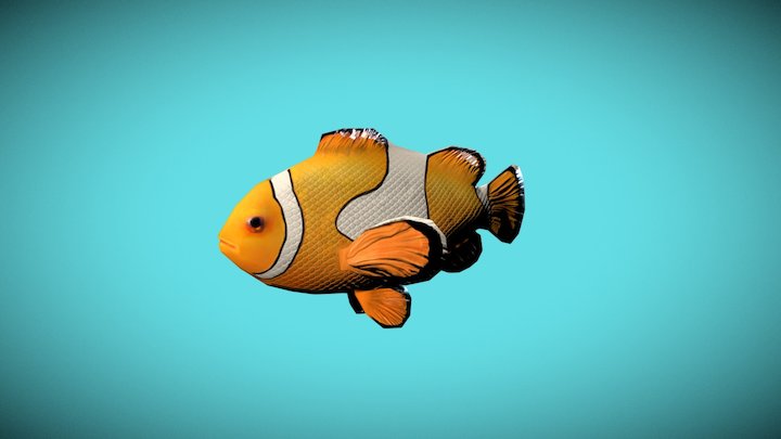Clownfish 3D Model
