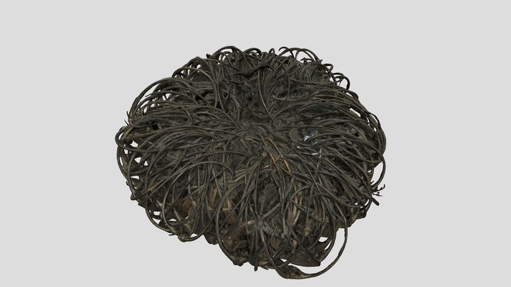 Devils Claw Bundle Laser Scan 3D Model