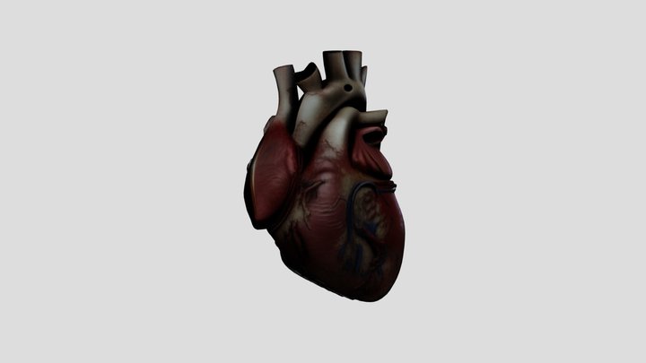 Corazón 3D Model