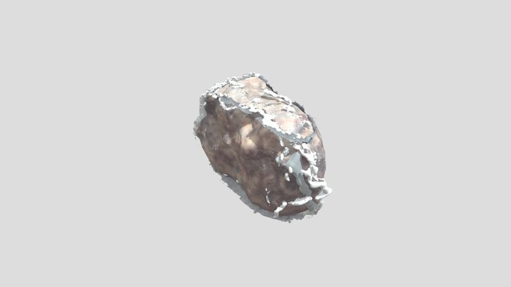 3dscan_stone – Modello 3D gratuito STL
