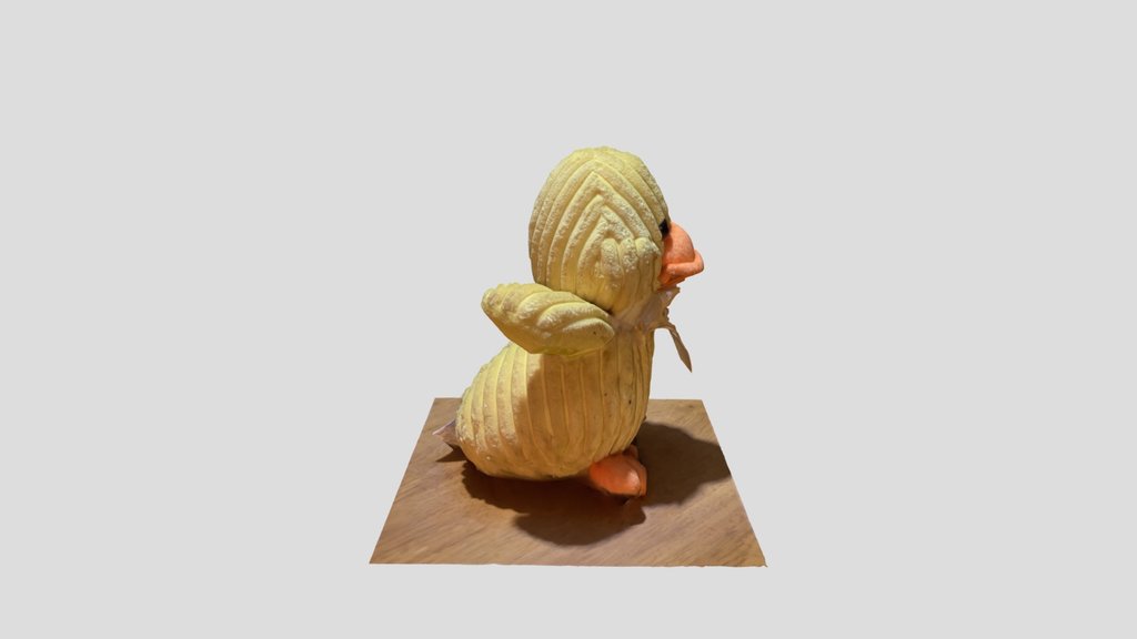 Project Duck