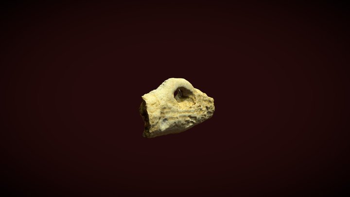 Fragmento de Arpón prehistórico 3D Model