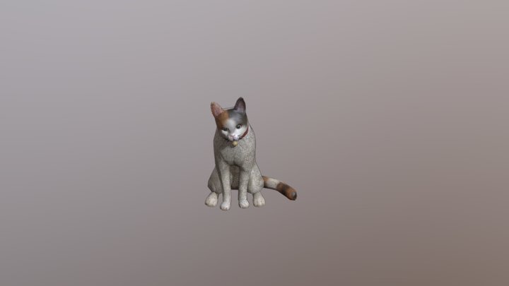 Calico cat 3D Model