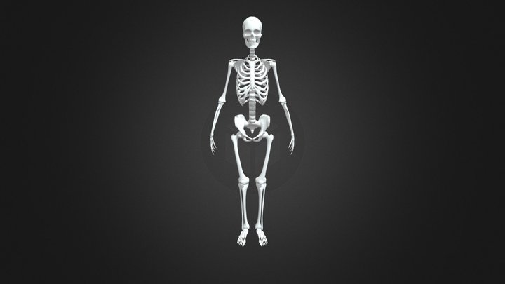 Dancing Skeleton 3D Model