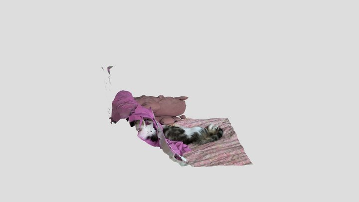 Cat 3D Model