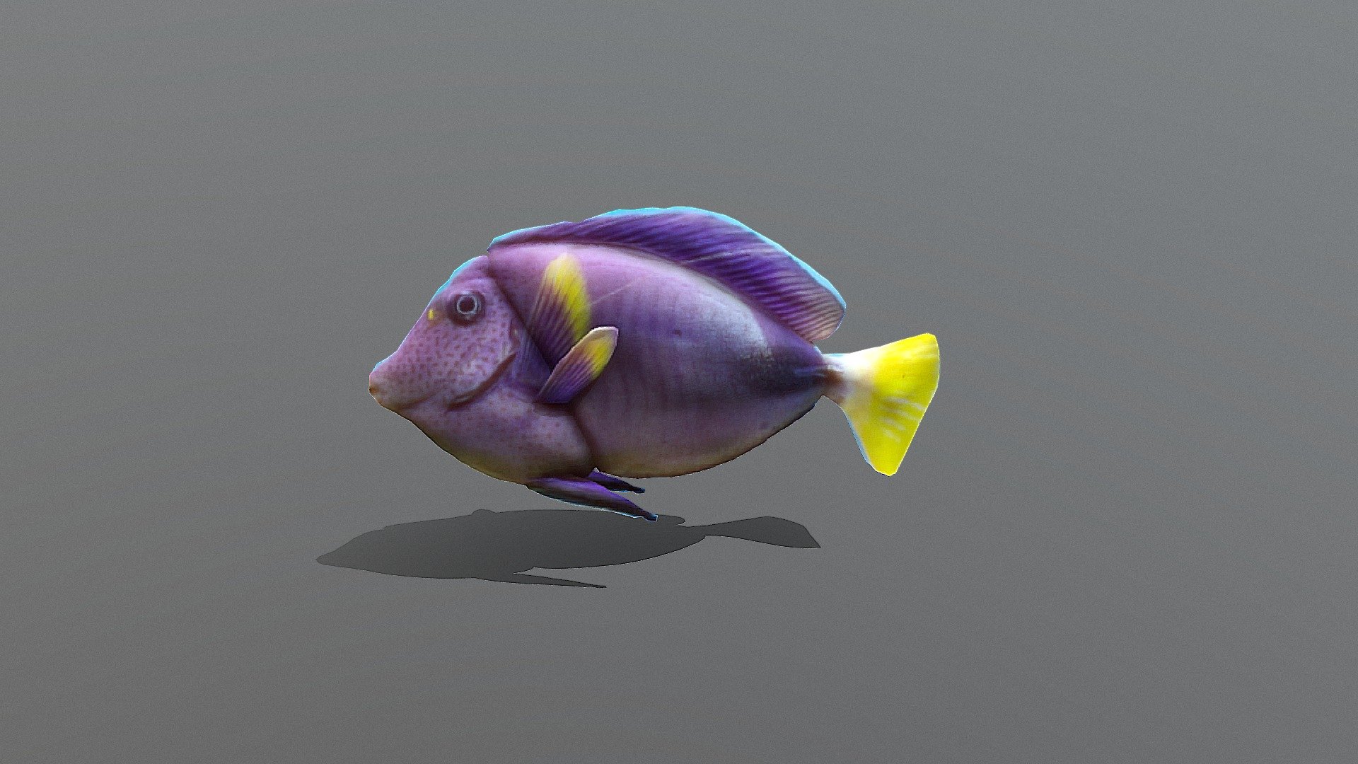 0707fish