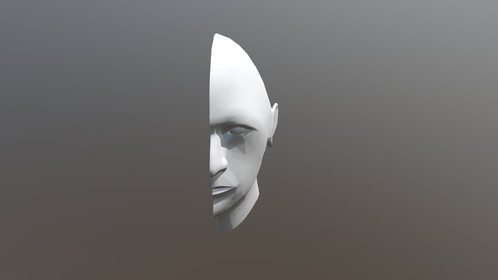 Half Face 3D Model
