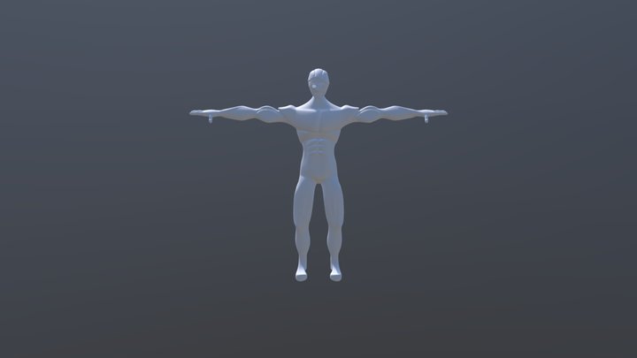 Male Mesh 3D Model
