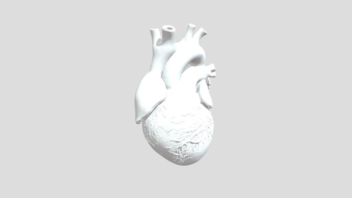 sehrr5uhrjhr 3D Model