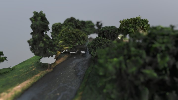 Forest_Water_Canal 3D Model