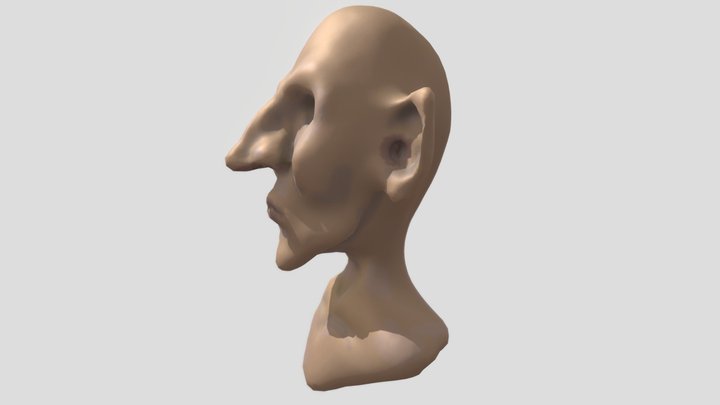 Face LP 3D Model