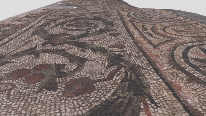 Római kori mozaik Szombathelyen 2 3D Model